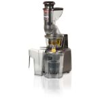 RGV Juice Art Muscle Estrattore di succo 230 W Grigio RGV Juice Art Muscle Estrattore di succo 230 W Grigio
